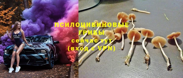 твердый Алзамай