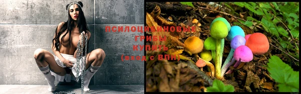 прущие крисы Алексин